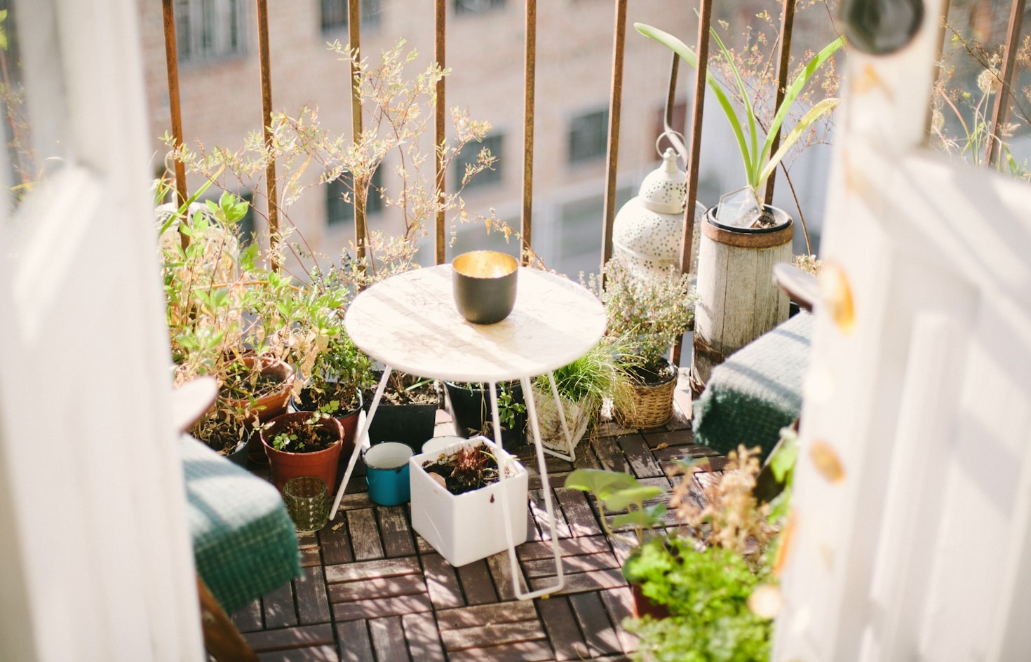Gardening Tips for Apartment Dwellers
