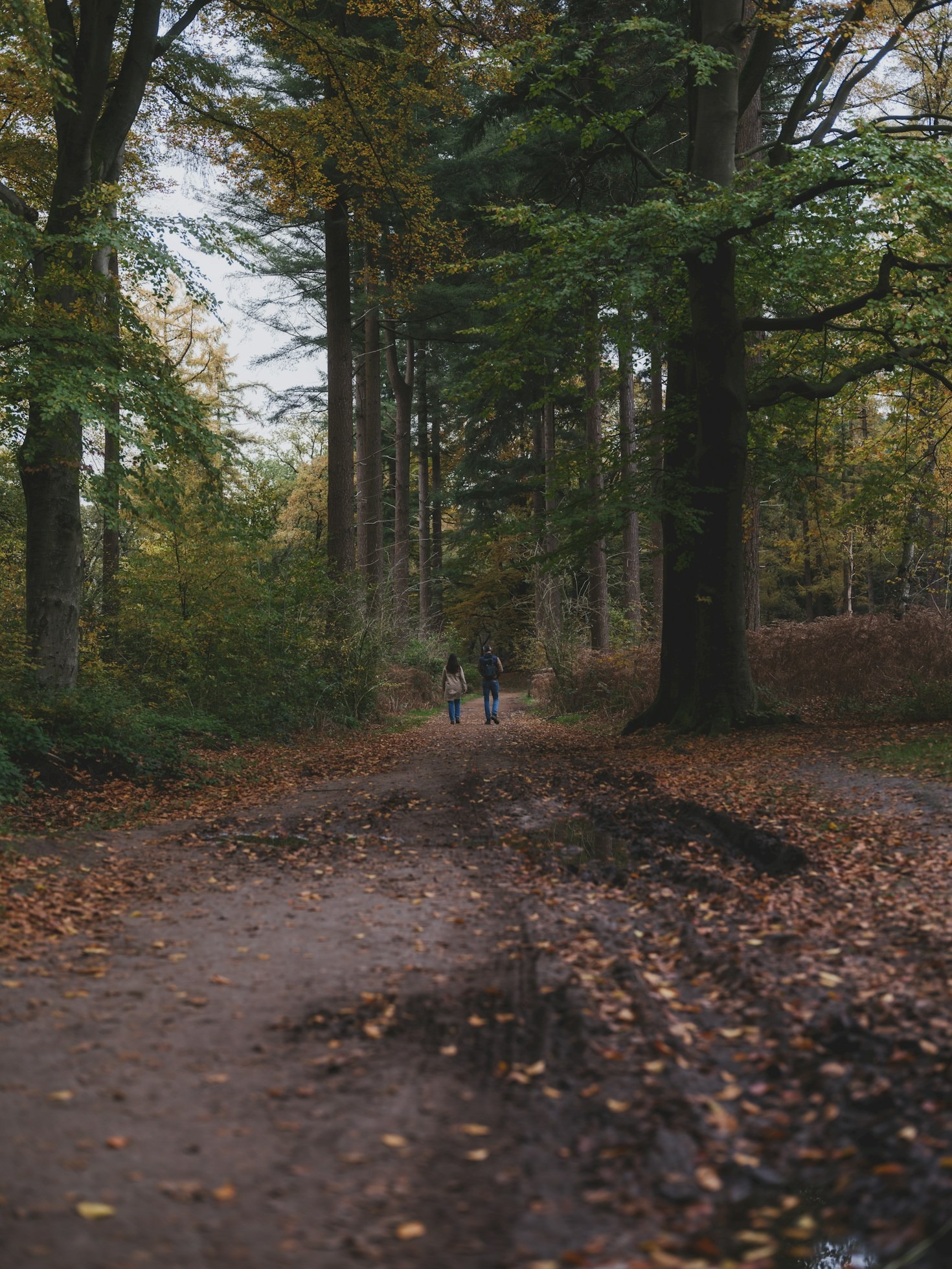 Cycling Routes to Explore in the City