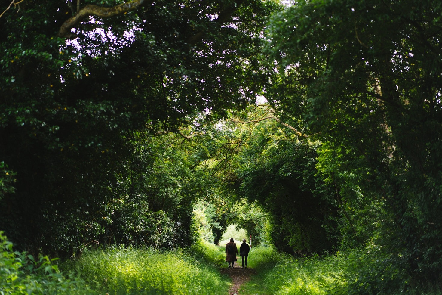 The Joy of Videography: Capturing Life’s Moments